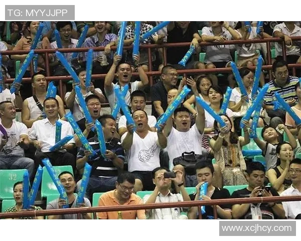 武汉羽毛球队的精神力量与发展历程探讨